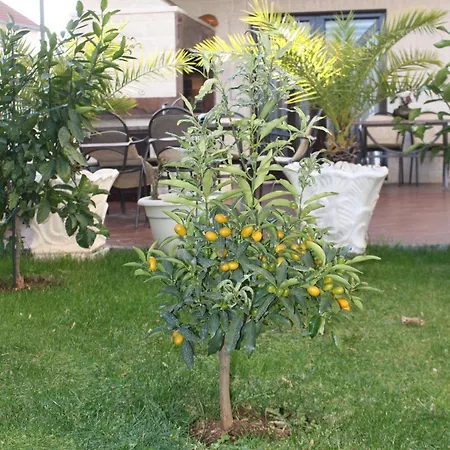 With Parking Space Okrug Gornji - Ciovo - 7546 Trogir