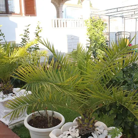 Apartament With Parking Space Okrug Gornji - Ciovo - 7546